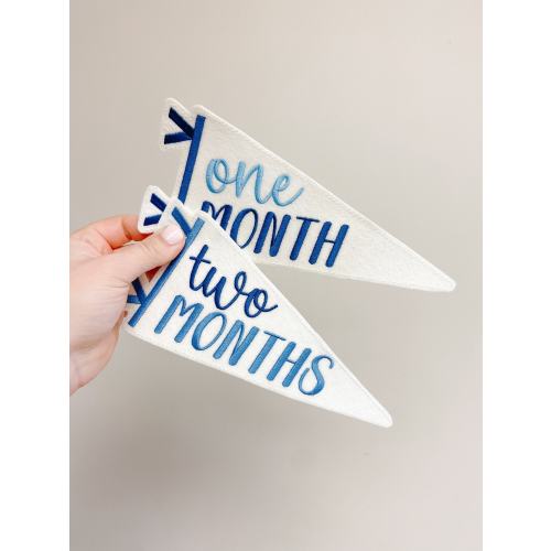 Shades of Blue Embroidered Felt Pennant Monthly Milestones