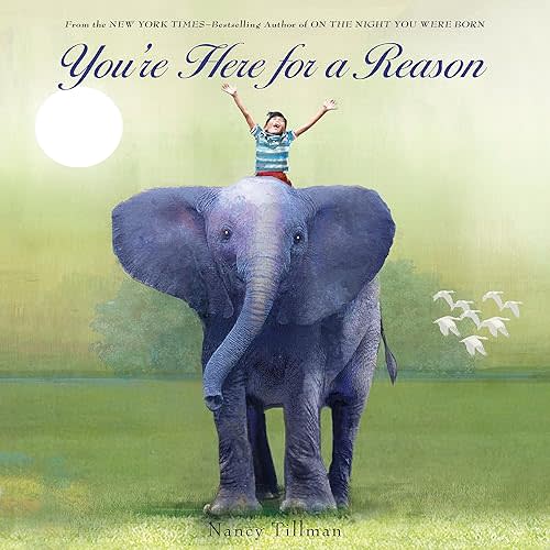 You're Here for a Reason Board book – Picture Book, December 26, 2017