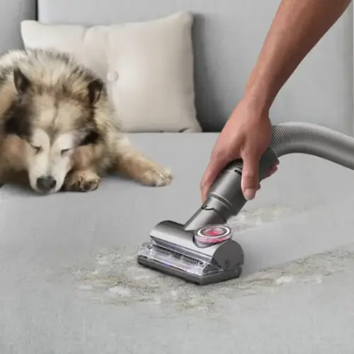 Dyson Ball Animal 3 Extra Upright Vacuum with 5 accessories Copper/Silver 394515-01 - Best Buy