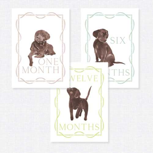 Gender Neutral Baby Milestone Cards, Puppy Milestone Cards, Chocolate Lab Milestone Cards