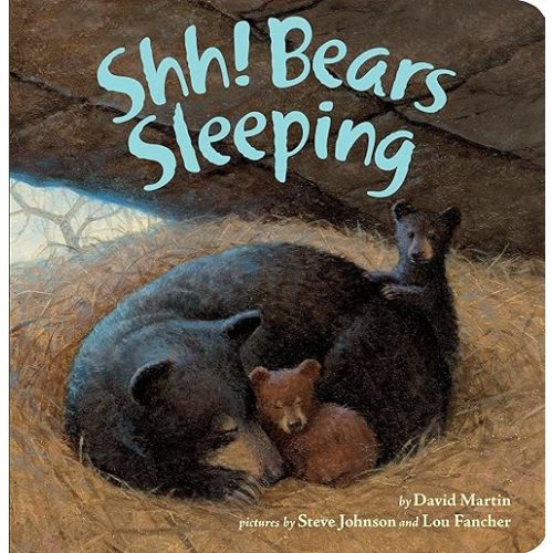 Shh! Bears Sleeping Board book – Picture Book, October 3, 2017