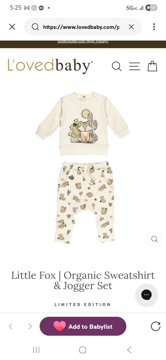 Little Fox | Organic Sweatshirt & Jogger Set – L'ovedbaby