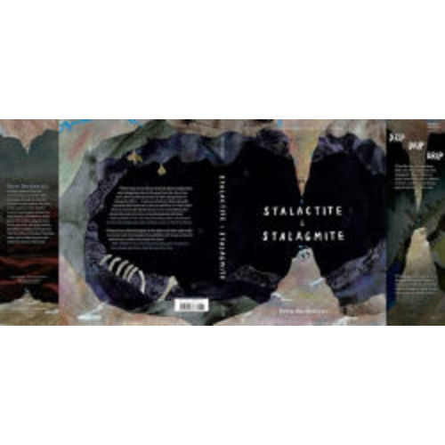 Stalactite & Stalagmite: A Big Tale from a Little Cave by Drew Beckmeyer, Hardcover | Barnes & Noble®