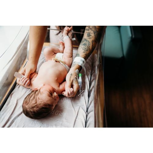 Fresh 48 Pricing - Stephanie Lynn Photography