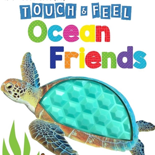 Ocean Friends - Touch and Feel Board Book - Sensory Board Book