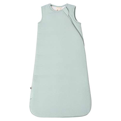 KYTE BABY Unisex Rayon made from Bamboo Sleep Bag for Babies and Toddlers, 2.5 Tog
