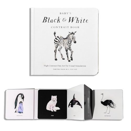 Baby's Black and White Contrast Book: High-Contrast Art for Visual Stimulation at Tummy Time (Our Little Adventures Series)
