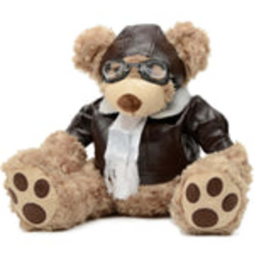 20-inch Air Force Teddy Bear – The Gift Hangar