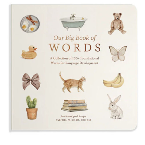 Our Big Book of First Words: A Collection of 100+ Foundational Words for Language Development by Tabitha Paige, Board Book | Barnes & Noble®