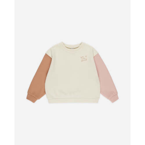 Legend Sweatshirt || Color Block