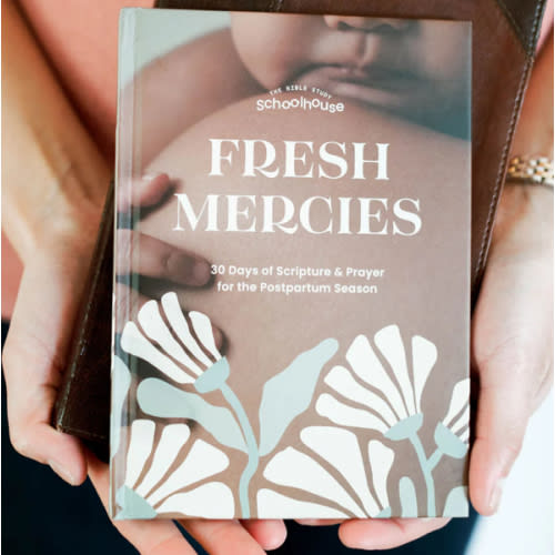 Fresh Mercies Postpartum Scripture and Prayer Guide – The Bible Study Schoolhouse