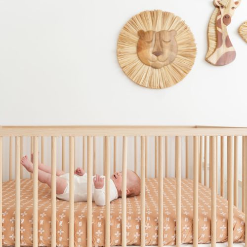 Lion Wall Art - Lion Wall Decor | Crane Baby