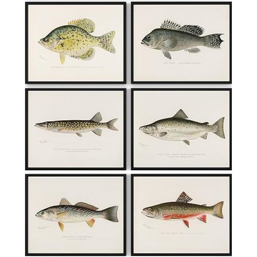 Vintage Fish Wall Art Prints (Set of 6) - Unframed - 8x10s | Fishing Dcor | Vintage Decor | Kitchen Wall Art | Kitchen Wall Decor