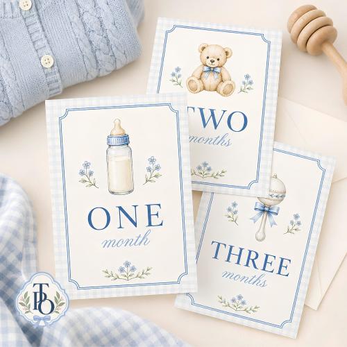 READY TO SHIP Baby Boy Monthly Milestone Cards, First Year Photo Cards, Preppy, Grandmillennial, Heirloom, 5x7, Full Printed Set