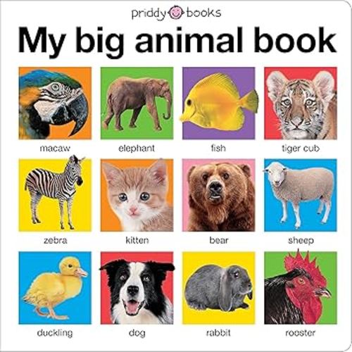 My Big Animal Book (My Big Board Books)
