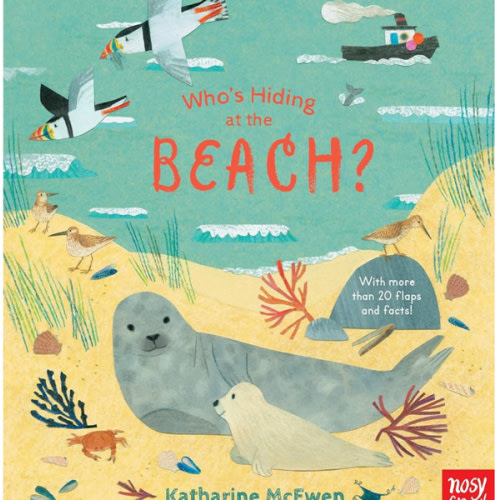 Who's Hiding at the Beach?