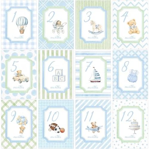 R HORSE Monthly Milestone Cards for Baby Boy, Baby First Holiday Cards