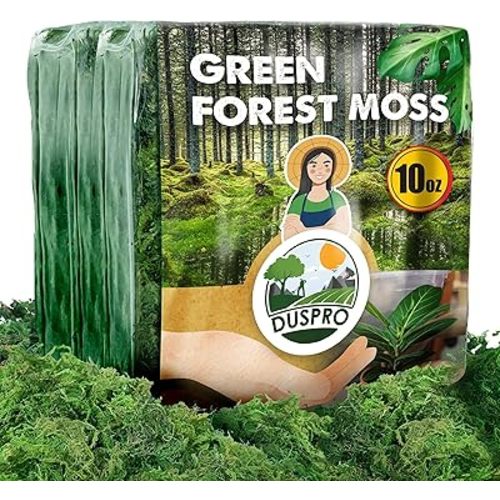 DUSPRO Green Moss for Crafts Decorative Moss Filler for Planters Moss Decor for Table Centerpieces Wedding Christmas Fairy Party Decor, Green Moss for Indoor Planters, DIY Project 10 Oz