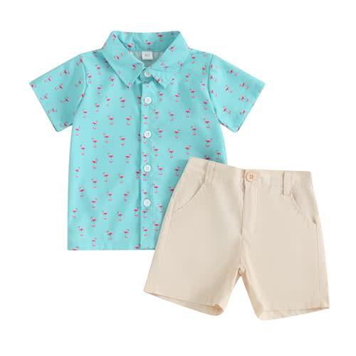 Hnyenmcko Infant Toddler Baby Boy Summer Clothes Short Sleeve Dinosaur Print Button Down Shirt Shorts Set Hawaiian Outfit