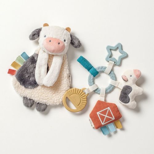Itzy Ritzy Bitzy Busy Gift Set