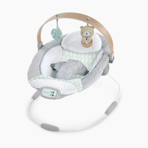 Ingenuity Cozy Spot Soothing Bouncer