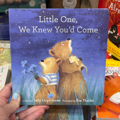 Little One, We Knew You'd Come Book