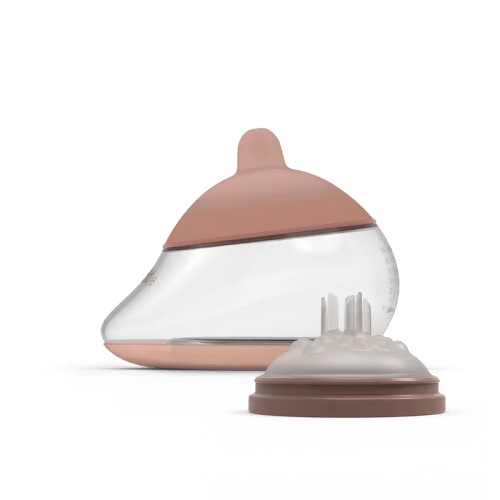The Anatomy Bottle