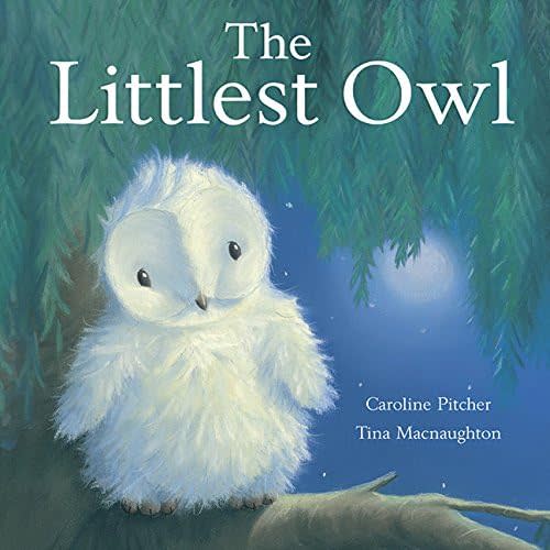 Littlest Owl Hardcover – Picture Book, June 1, 2008