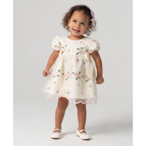 Baby Girls Embroidered Mesh Social Dress