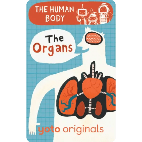 BrainBots: The Human Body