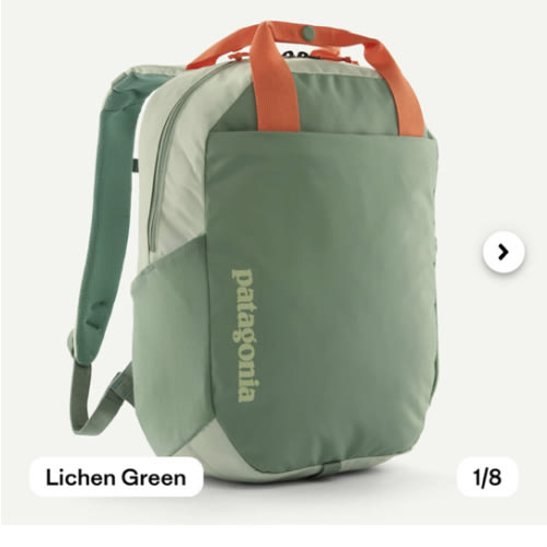 Patagonia Atom Tote Backpack 20L