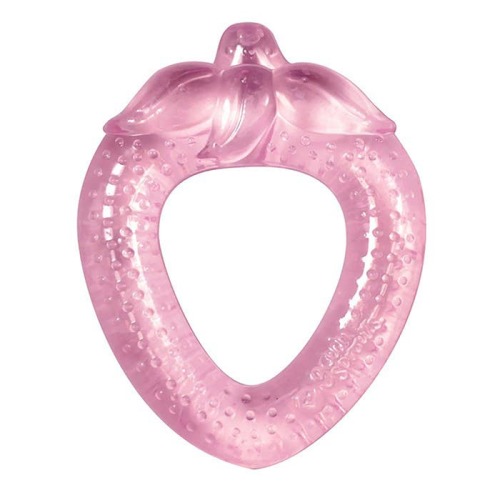 Green Sprouts Cool Fruit Teether