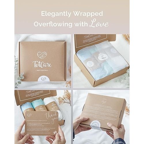 Bassinet Fitted Sheets 33x20 for Baby Beside Dreamer Bassinet & Bedside Sleeper - Buttery Soft, Premium Stretchy Jersey Knit Sheets - Pale Pink + Lavendar + Cloud, 3 Pack