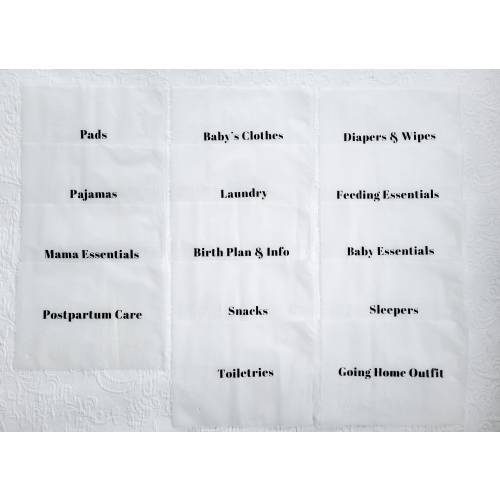 Ultimate Baby Shower Gift Set - Hospital Bag Organizers | 16 Labeled Bags | Birth Plan Kit | Labor & Delivery | New Mom | Hospital Checklist