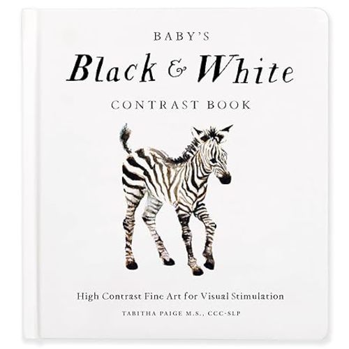 Baby's Black and White Contrast Book: High-Contrast Art for Visual Stimulation at Tummy Time (Our Little Adventures Series)