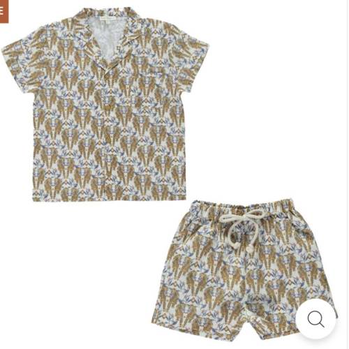 Wild Tiger Set – Manymoons