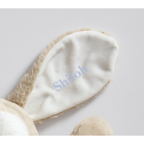 Long-Eared Bunny Plush