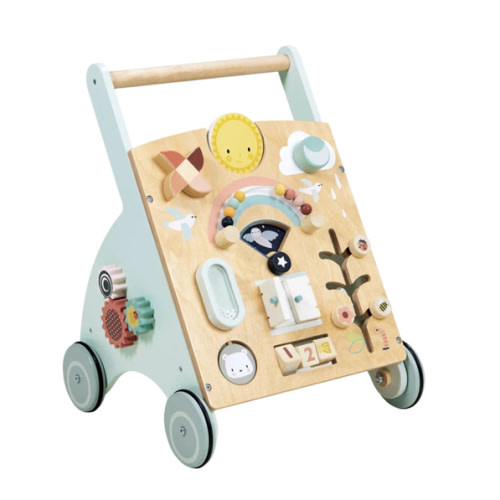 Sunshine Baby Activity Walker | Danrie