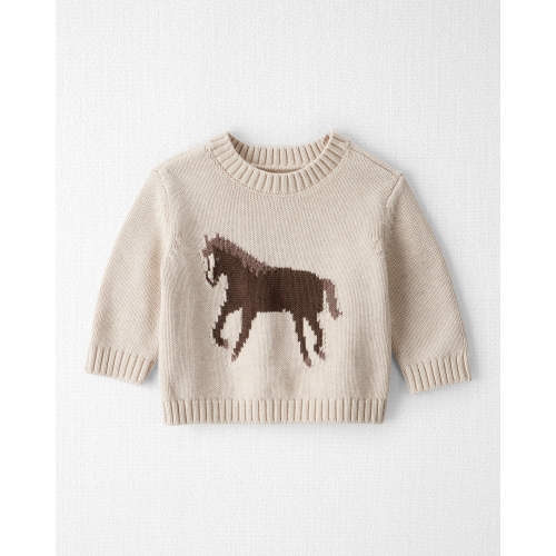 Baby Organic Cotton Horse Sweater Knit Pullover - 3 MONTHS