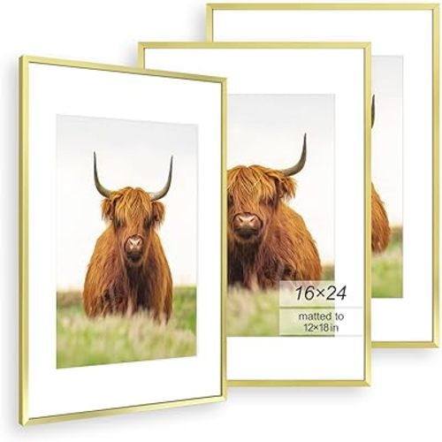 Golden State Art, 16x24 Gold Picture Frame Set of 3, Thin Border, Display Photo 12x18 with Mat or 16x24 Without Mat, Poster Frame for Wall Hanging Horizontal and Vertical
