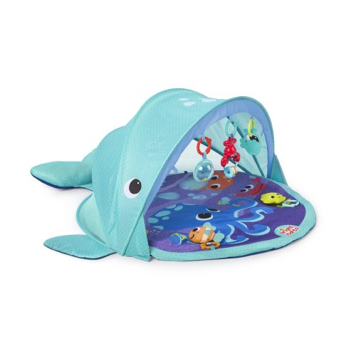 Explore & Go Whale Gym
