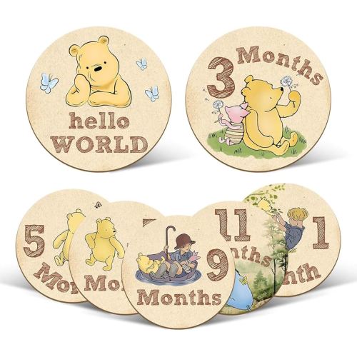 7 Pcs Winnie Baby Monthly Milestone Markers, Winnie Double Sided Winnie Baby Months Wooden Signs with Storage Bag, Winnie Baby Monthly Announcement Wooden Discs, Winnie Milestone Pictures of Newborn