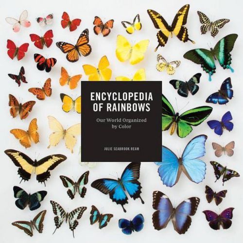 Encyclopedia of Rainbows - by Julie Seabrook Ream (Hardcover)