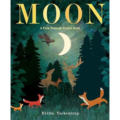 Moon: A Peek-Through Picture Book Hardcover – Picture Book, February 20, 2018