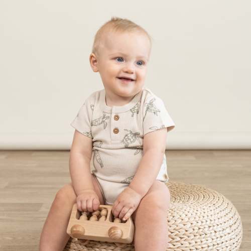 Organic Short Sleeve Onesie & Pants Set - Turtles, 3-6 months