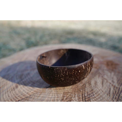 Mini Coconut Bowls – Rowe Naturals