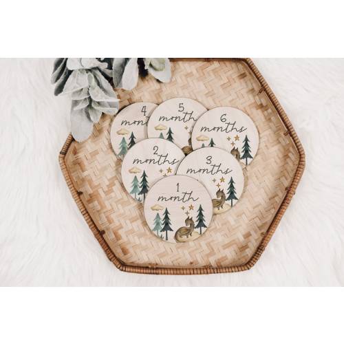 Baby Milestone Markers Month to Month Engraved Wood Cutout Wood Baby Milestone Monthly Milestone Picture Prop New Baby Gift Baby Shower Gift