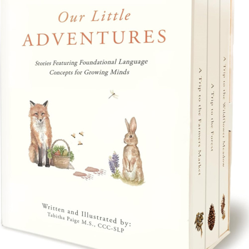 Our Little Adventures: Stories Featuring Foundational Language Concepts for Growing Minds (Our Little Adventures Series)