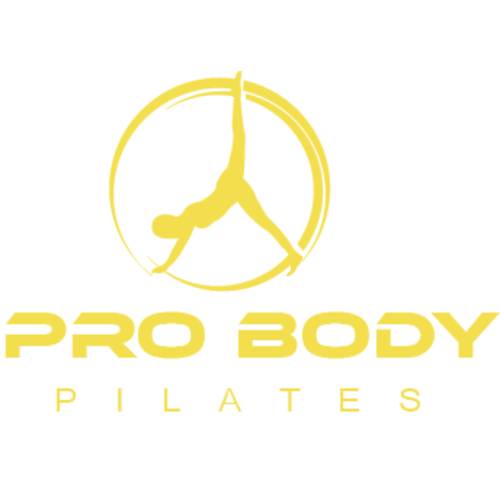 Pregnancy Ball for Maternity, Labor and Birth. Includes Pregnancy Guid – ProBody Pilates