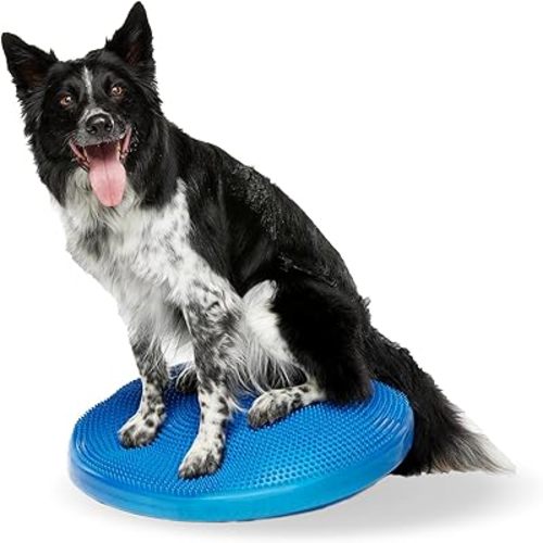 FitPAWS® Dog Balance Disc -Blue, 22" | Dog Exercise Equipment | Workout Tool for Strength, Core, Stability & Rehabilitation